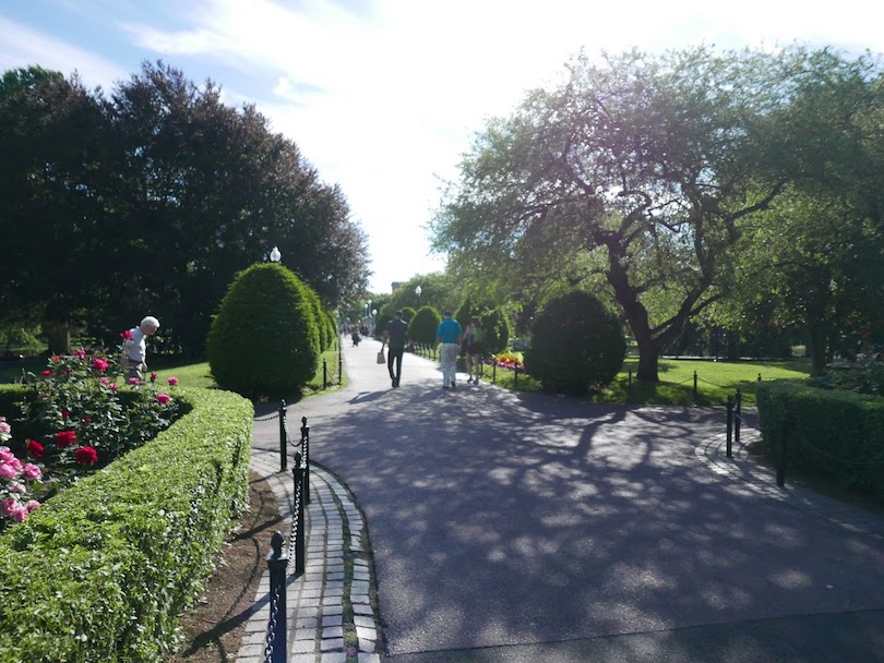 Boston Public Garden path